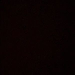 Meet your Posher, Rylie